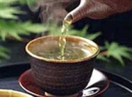 فواید دارویی و مفید گیاه گزنه چیست؟