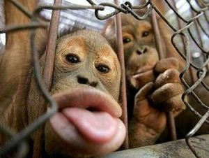 گالری عکس های خنده دار و ترول اسفند ماه