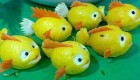 تصاویری از مدل های جدید و زیبا میوه آرایی شب یلدا
