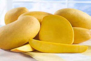 خوراکی هایی برای تقویت حافظه و ضریب هوشی کودک خوراکی هایی برای تقویت حافظه و ضریب هوشی کودک