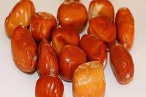آشنایی با همه خواص سنجد آشنایی با همه خواص سنجد