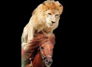 اسب عجیبی که تبدیل به شیر شده است!(+عکس)