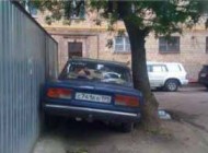 عکس های جدید ترول از سوژه های خنده دار روسی