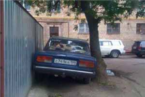 عکس های جدید ترول از سوژه های خنده دار روسی عکس های جدید ترول از سوژه های خنده دار روسی