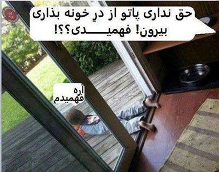 منتخبی از عکس های خنده دار و جالب سالی که گذشت