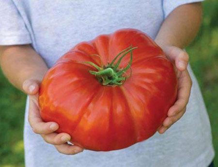 عکس های جالب و دیدنی از اجسام بزرگ غیرعادی