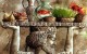 ترجمه دعای تحویل سال نو به انواع زبان ها