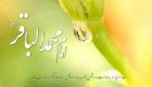 زندگینامه امام باقر (ع) به بهانه اول ماه رجب ولادت امام محمد باقر (ع)