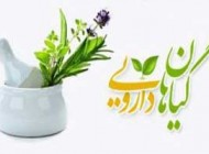 درمان بزرگ‌ شدن پروستات با گیاه درمانی