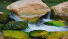 گزارش تصویری از رودخانه بی بی سیدان در سمیرم اصفهان