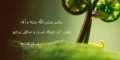 احادیث بزرگان دین درمورد آداب غذا خوردن