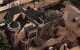 خانه ترسناک ارواح سرگردان واقع در منطقه سنت پل