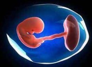 آیا جنین در رحم مادر شیر می خورد؟