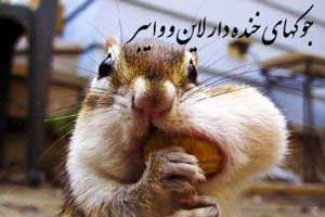 جوک های لاین و وایبر 2016 جوک های لاین و وایبر 2016