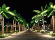 ساخت درختانی که نور خورشید را ذخیره می کنند (عکس)