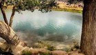 گزارش تصویری از دریاچه و چشمه زیبای غربال بیز در یزد