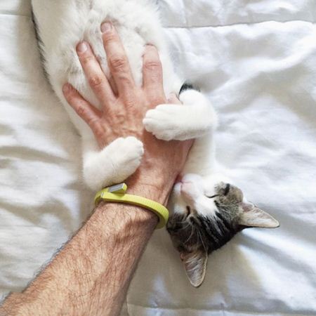عکسهای خنده دار از عکس العمل حیوانات در برابر قلقلک