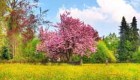 ضرب المثل های جالب و پرمغز بهاری