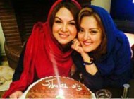 جالب ترین عکس های خاص پرستو گلستانی