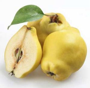خواص به دانه، دانه بی نظیر قهوه ای رنگ درطب سنتی خواص به دانه، دانه بی نظیر قهوه ای رنگ درطب سنتی