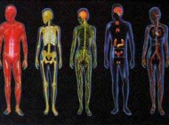 دانستنی بسیار جالب و عجیب درباره پیچیدگی بدن انسان