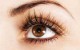 چجوری جلوی ریزش مژه هایمان را بگیریم؟