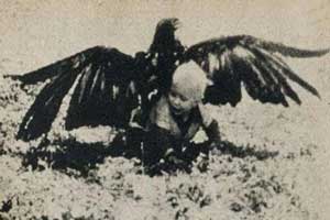 عقابی که بچه سه ساله را شکار کرد! (عکس)