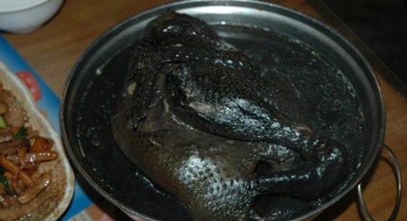 پرورش عجیب و جالب مرغ با گوشت سیاه! عکس