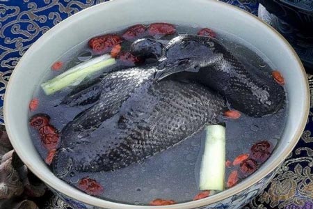 پرورش عجیب و جالب مرغ با گوشت سیاه! عکس