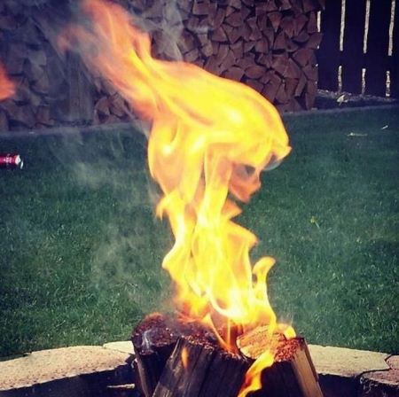 خفن ترین عکس های خنده دار منحرف کردن ذهن