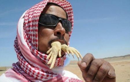 عکسهای خوردن حشرات موذی و حیوانات توسط انسان