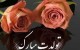 اس ام اس های برتر مخصوص تبریک تولد عزیزانتان