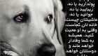 کاملترین مجموعه عکسهای با مفهوم و بسیار زیبا