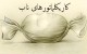 کاریکلماتور زیبا و جدید آبان 94