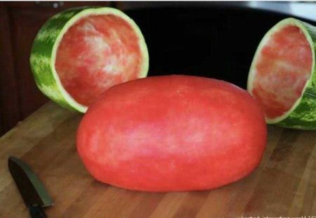 سری جدید عکس های خنده دار و خفن آبان 1404