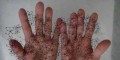 عکس هایی دیدنی و خارق العاده از هنر برش کاغذ