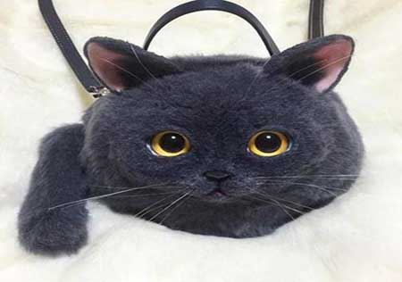 تصاویری از مدلهای عجیب کیف دستی شبیه گربه