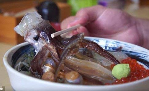 در این رستوران زنده زنده هشت پا می خورند + عکس