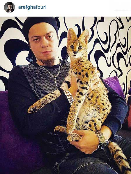 عکسهای افراد سرشناس در شبکه های اجتماعی آذر 94