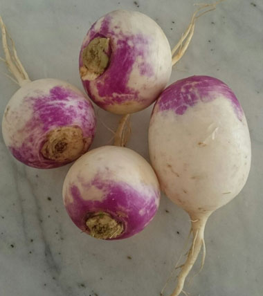همه چیز درباره خواص شلغم مهمترین گیاه ضد سرطان