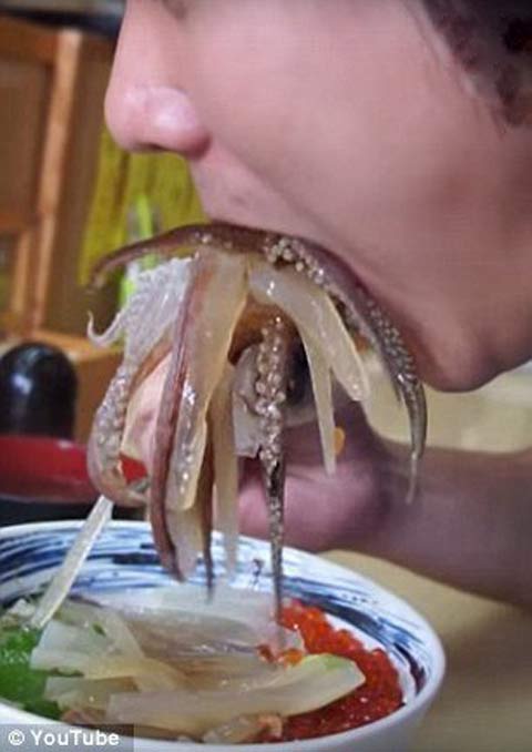 در این رستوران زنده زنده هشت پا می خورند + عکس