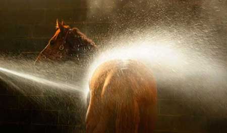 تصاویر دیدنی و جالب-جمعه 3 مرداد 93