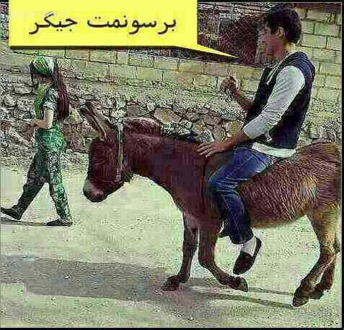 عکسهای خنده دار باحال تلگرامی در زمستان 1394
