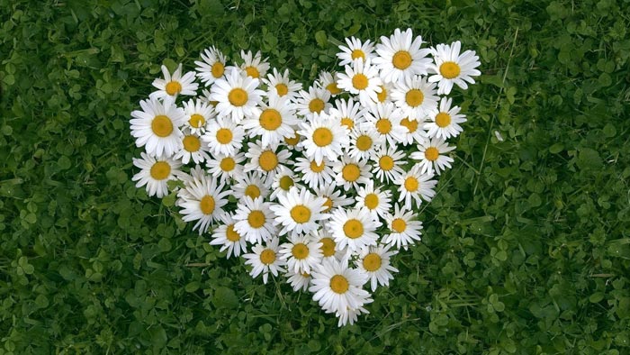 عکس عاشقانه و احساسی جدید