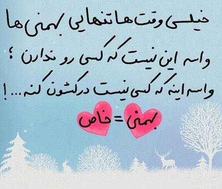 عکس نوشته های مخصوص متولدین ماه بهمن