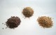 خواص دارویی گیاه سنتی تخم کتان (Flaxseed)