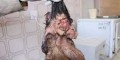 عکس های پسر 22 ساله کرمانی که باردار است