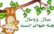سال 1395 سال میمون و خصوصیات متولدین سال میمون