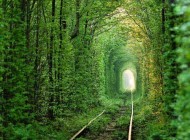 عکسهایی دل انگیز و رویایی از تونل زیبای عشق