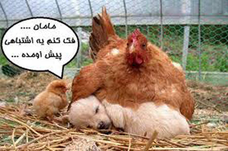 خفن ترین (عکسهای خنده دار) جدید